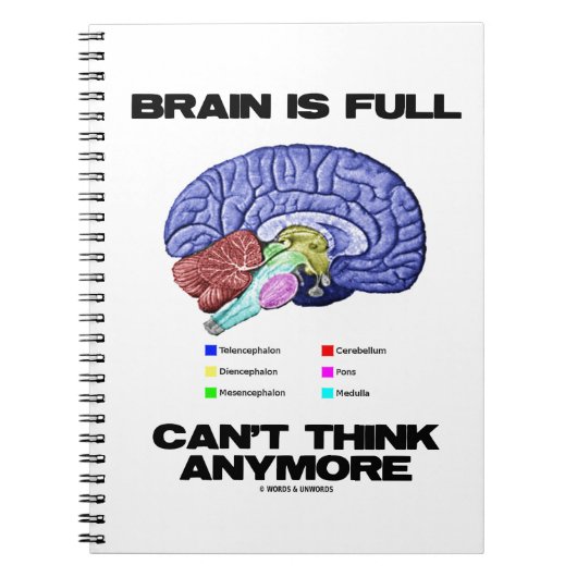 Carnet Brain Is (Devant)
