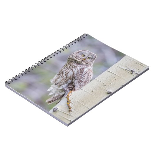 Carnet Branche d'arbre d'astre gris (Côté gauche)