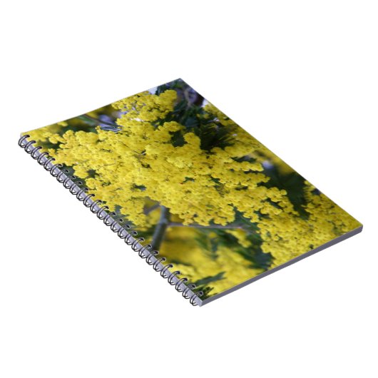 Carnet Branche de mimosa (Côté Droit)