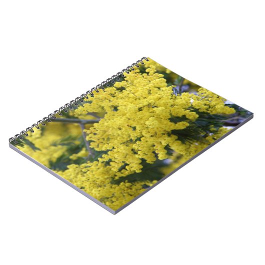 Carnet Branche de mimosa (Côté gauche)