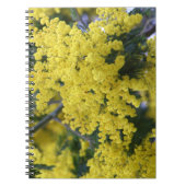 Carnet Branche de mimosa (Devant)