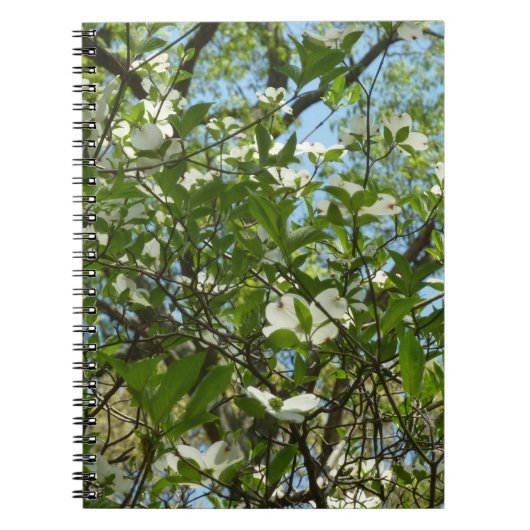 Carnet Branche of Dogwood Blossoms Spring Trees (Devant)
