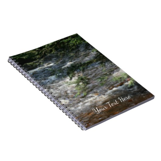 Carnet Branches D'Arbre À Pins Sur Les Rapides Dans Le Fl (Côté Droit)