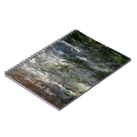 Carnet Branches D'Arbre À Pins Sur Les Rapides Dans Le Fl (Côté gauche)