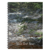 Carnet Branches D'Arbre À Pins Sur Les Rapides Dans Le Fl (Devant)