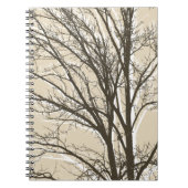 Carnet Branches d'arbre blanc brun crème rustique (Devant)