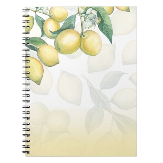 Carnet Branches de citron Blanc & Jaune Pays Rustique Chi (Devant)