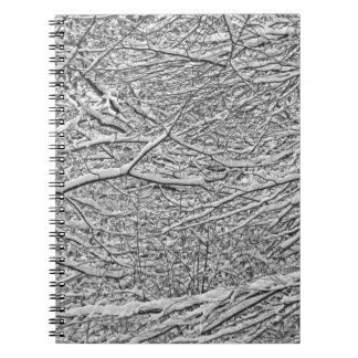 Carnet Branches de neige