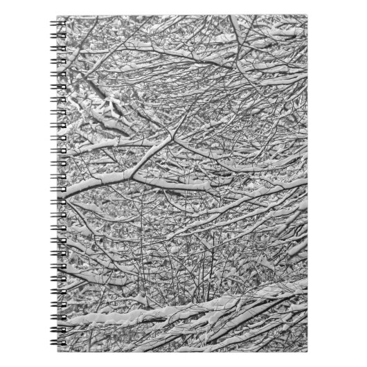 Carnet Branches de neige (Devant)