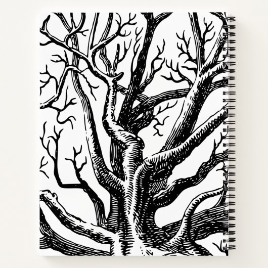 Carnet Branches rustiques Abstraites en noir et blanc (Dos)