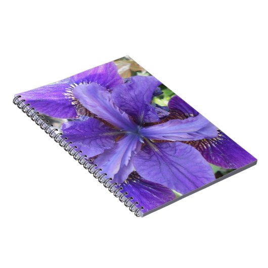 Carnet Brandeis (Côté Droit)