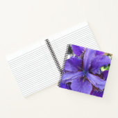 Carnet Brandeis (Intérieur)