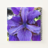 Carnet Brandeis (Dos)