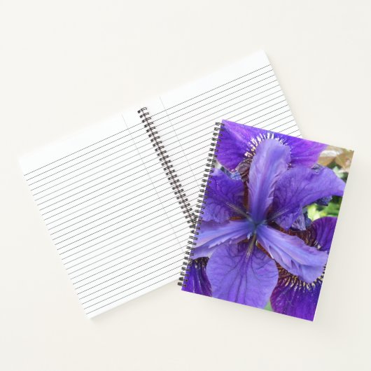 Carnet Brandeis (Intérieur)