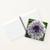 Carnet Brett (Intérieur)