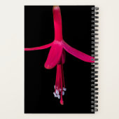 Carnet Bright Pink Fuchsia Flower on Black (Verso)