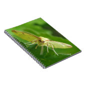 Carnet Brimstone Moth (Côté Droit)