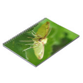 Carnet Brimstone Moth (Côté gauche)