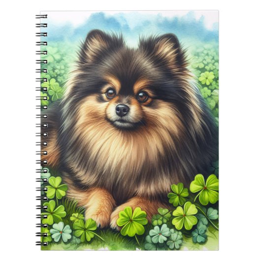 Carnet Brindle Pomeranian Shamrock (Devant)