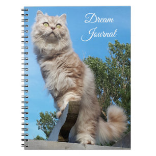 Carnet britannique du London Cat Dream Journal