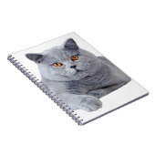 Carnet British shorthair (Côté Droit)