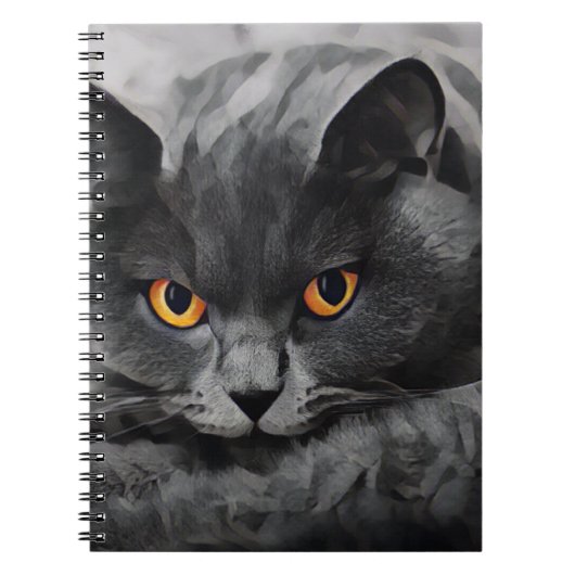 Carnet British Shorthair Kitty (Devant)