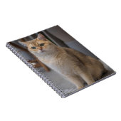 Carnet British Shorthair, race de chat, chat (Côté Droit)