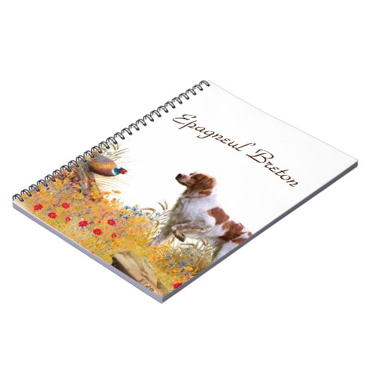 Carnet Brittany Espagne (Côté gauche)