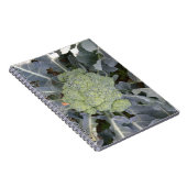 Carnet Brocoli (Côté Droit)