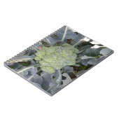 Carnet Brocoli (Côté gauche)
