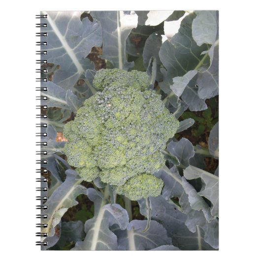 Carnet Brocoli (Devant)