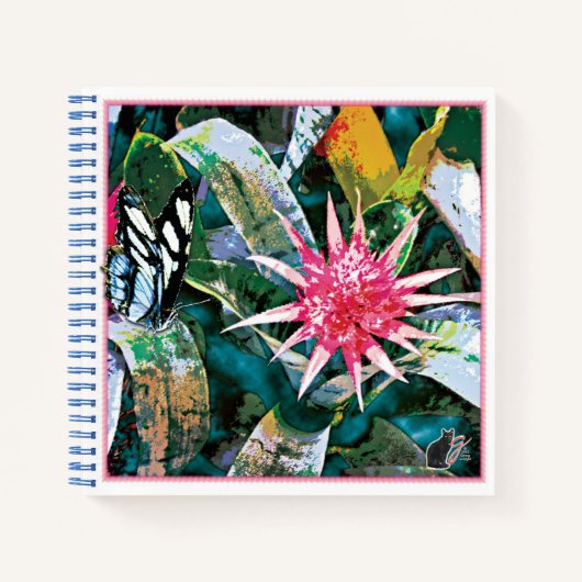 Carnet Bromie Épineux (Devant)
