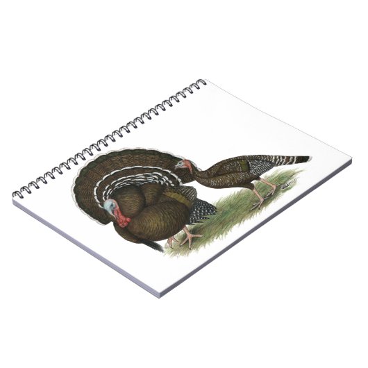 Carnet Bronze standard de Turkey (Côté gauche)