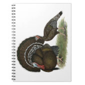 Carnet Bronze standard de Turkey (Devant)