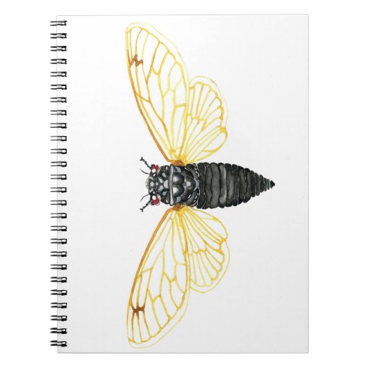 Carnet Brood X Périodical de 17 ans Canada (Devant)