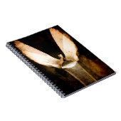 Carnet Brosse 2013 (Côté Droit)