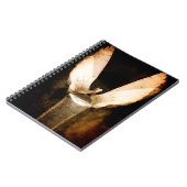 Carnet Brosse 2013 (Côté gauche)