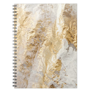 Carnet Brosse d'or blanc à texture peinte.