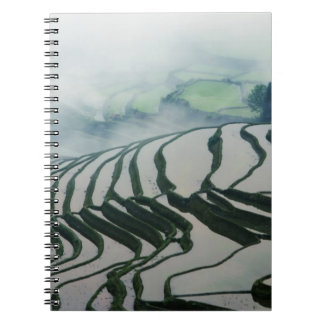 Carnet Brouillard de matin au-dessus des gisements de riz