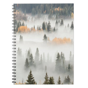 Carnet Brouillard matinal au sol couvrant la forêt de mon