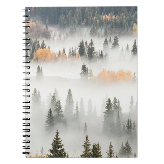 Carnet Brouillard matinal au sol couvrant la forêt de mon (Devant)