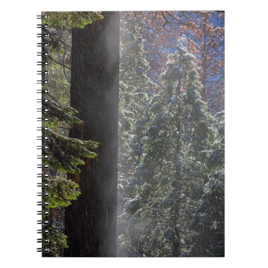 Carnet Brouillard neigeux dans la forêt (Devant)