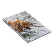 Carnet Brown Bear Catches Red Salmon (Côté Droit)