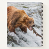 Carnet Brown Bear Catches Red Salmon (Dos)