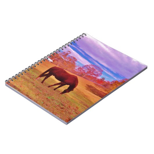 Carnet > Brown dans un champ de couleur onirique (Côté gauche)