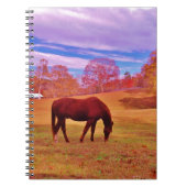 Carnet > Brown dans un champ de couleur onirique (Devant)