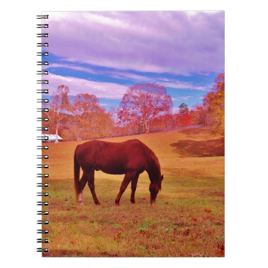 Carnet > Brown dans un champ de couleur onirique (Devant)