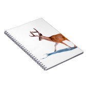 CARNET BROWN DEER SUR ARRIÈRE - PLAN BLANC (Côté Droit)