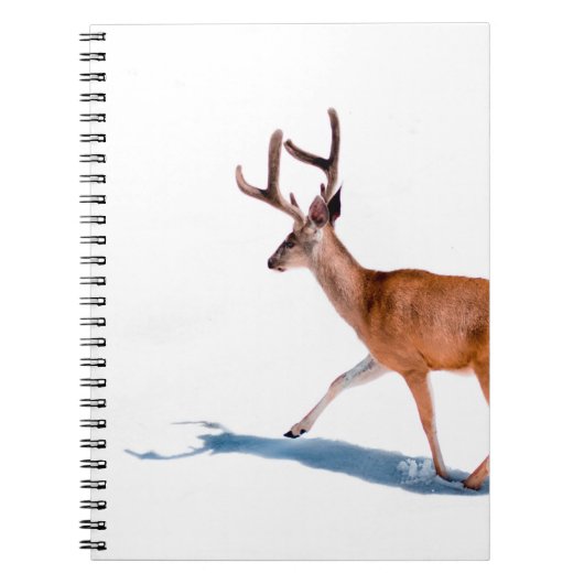 CARNET BROWN DEER SUR ARRIÈRE - PLAN BLANC (Devant)