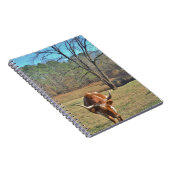 Carnet Brown et blanc Longhorn Bull Blue Sky (Côté Droit)